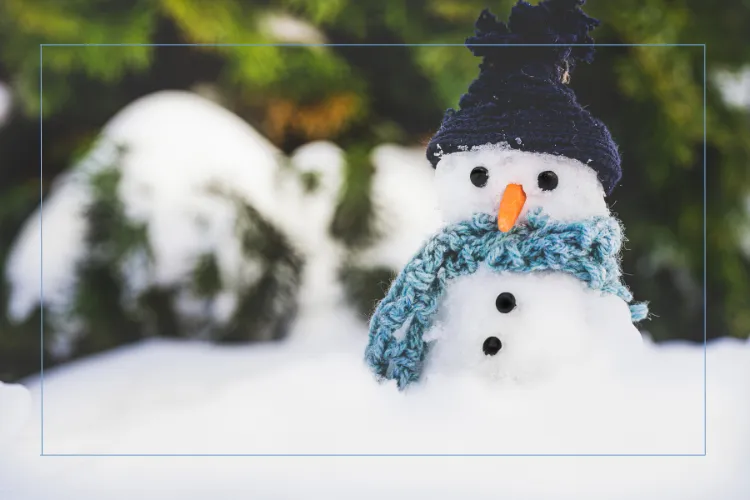 A cute little snowman
